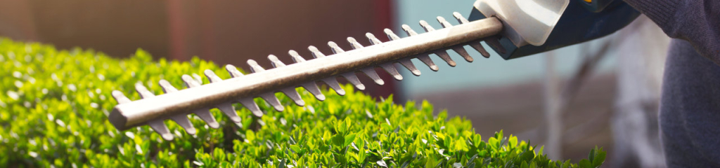 Un ouvrier d'espaces verts est en train de passer un taille-haie sur des haies