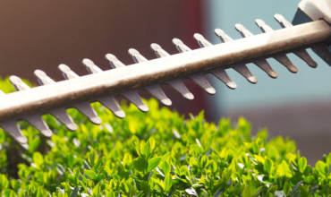 Un ouvrier d'espaces verts est en train de passer un taille-haie sur des haies